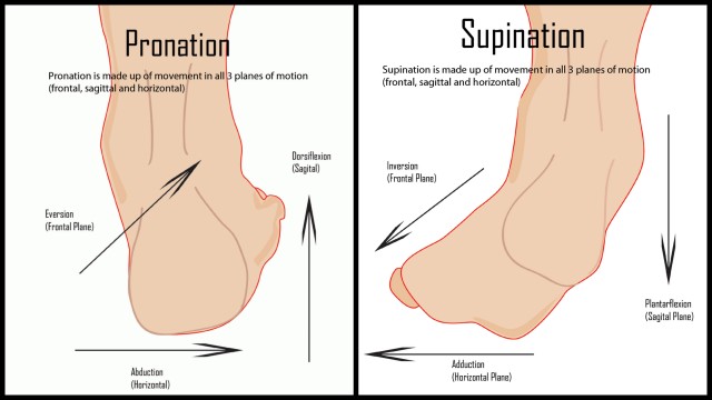 Ankle clearance pronation supination