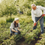 Embracing the Power of Gardening: Cultivating Health and Happiness