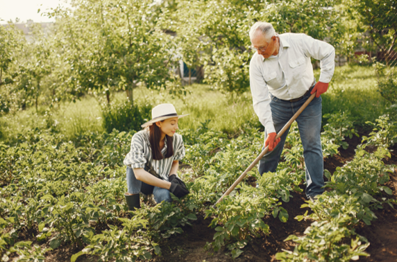 Embracing the Power of Gardening: Cultivating Health and Happiness